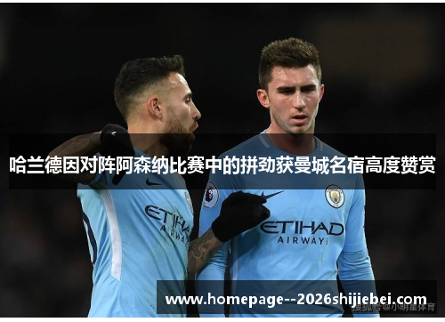 哈兰德因对阵阿森纳比赛中的拼劲获曼城名宿高度赞赏