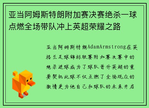 亚当阿姆斯特朗附加赛决赛绝杀一球点燃全场带队冲上英超荣耀之路