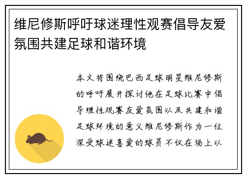 维尼修斯呼吁球迷理性观赛倡导友爱氛围共建足球和谐环境